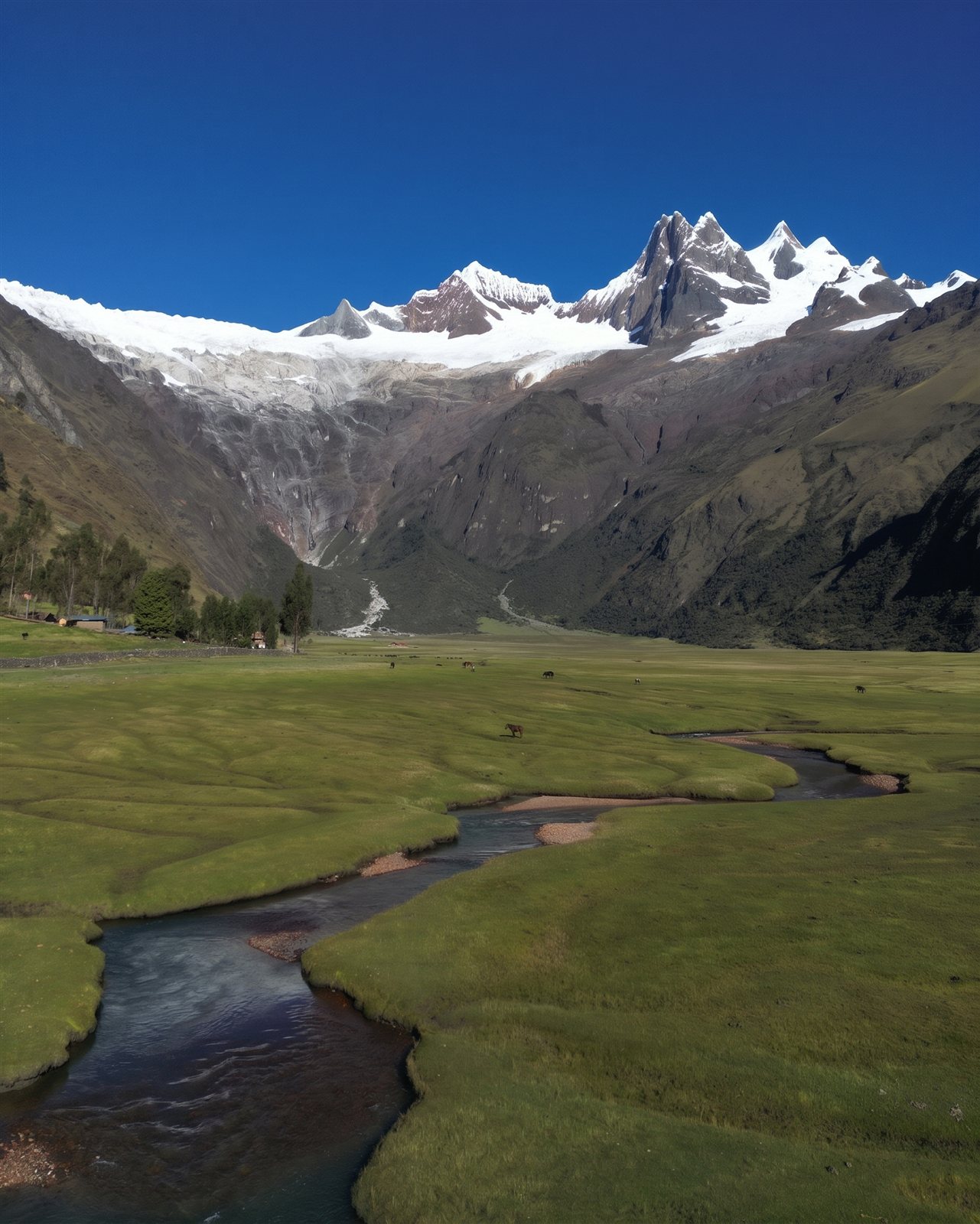 Trekking Cedros Alpamayo