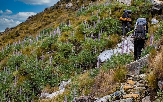 Nevado Vallunaraju · fotografía 4