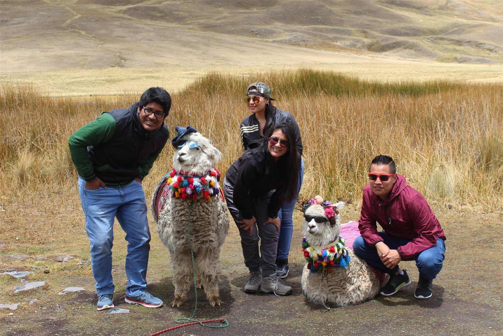 Glaciar Pastoruri · fotografía 6