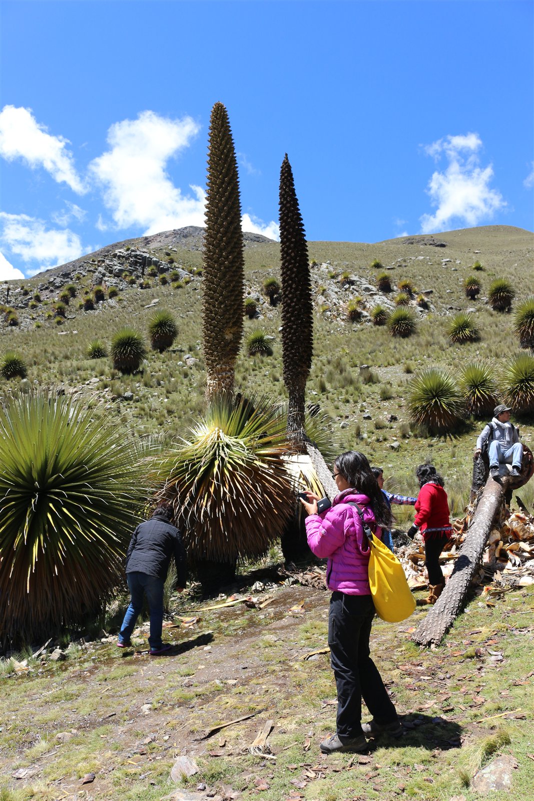 Glaciar Pastoruri · fotografía 9