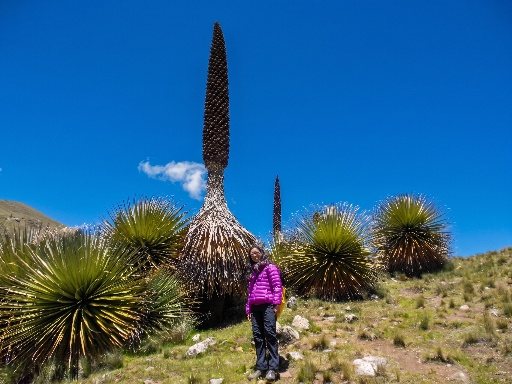 Glaciar Pastoruri · fotografía 14